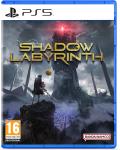Shadow Labyrinth 